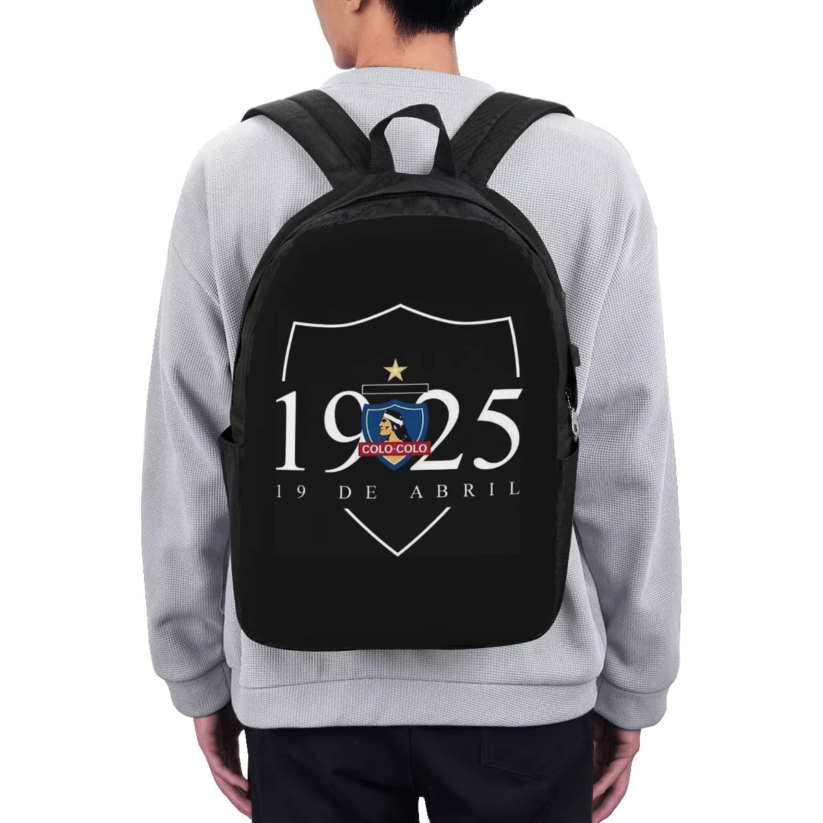 CSD COLO COLO backpack travel notebook bag for college student laptop backpack, stylish and practical for school use.